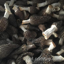 Morchella secada para venda